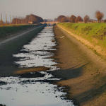 Siccit� Piemonte: richiesta di calamit� naturale per salvare l�agricoltura